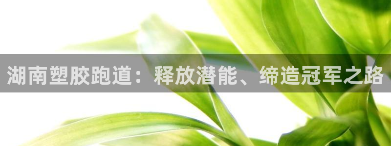 红世一足球比分