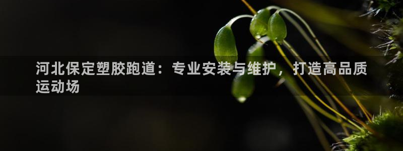 红足1世1站2站管理网