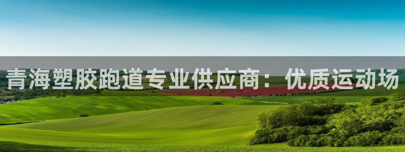 红足一1世手机版新皇冠：青海塑胶跑道专业供应商：优质运动场