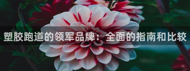666814红·足一世比分：塑胶跑道的领军品牌：全面的指南和比较