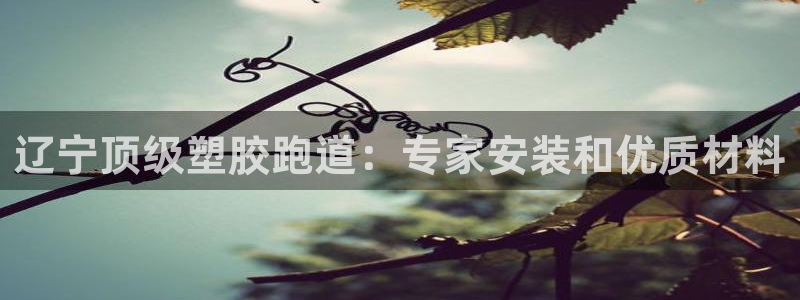 红足一1世66814新宝：辽宁顶级塑胶跑道：专家安装和优质材料
