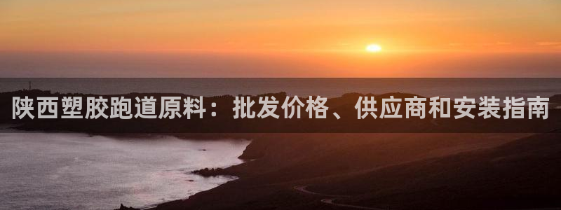 红足一生世：陕西塑胶跑道原料：批发价格、供应商和安装指南