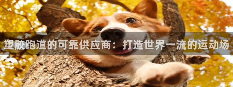 红足一：塑胶跑道的可靠供应商：打造世界一流的运动场