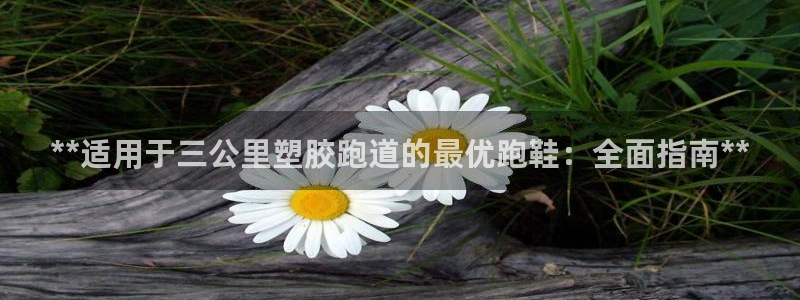 红足一1世666814最新结果：**适用于三公里塑胶跑道的最优跑鞋：全面指南**