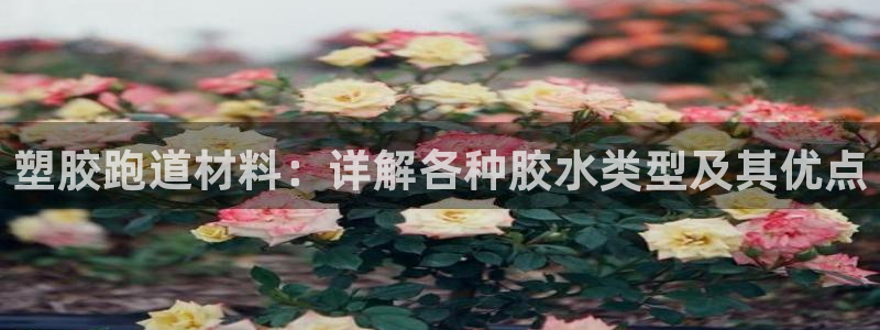 红足一1世77814：塑胶跑道材料：详解各种胶水类型及其优点