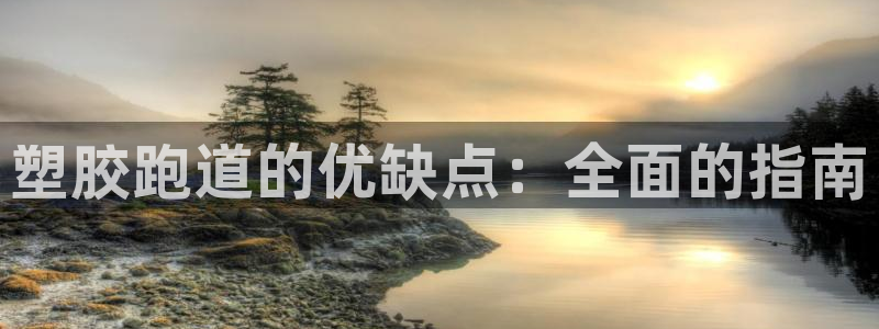 红足1世1站2站管理网：塑胶跑道的优缺点：全面的指南