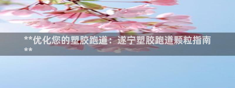 红足一比分网：**优化您的塑胶跑道：遂宁塑胶跑道颗粒指南
**
